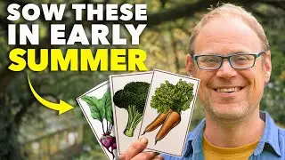 Double Your Harvests: Sow These 5 Crops in July