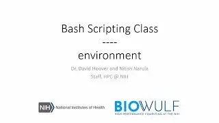 Bash Scripting Class: Environment