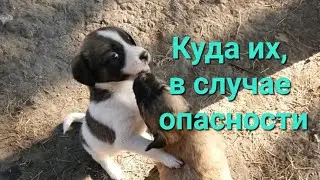 Малыши из приграничной зоны ищут дома
