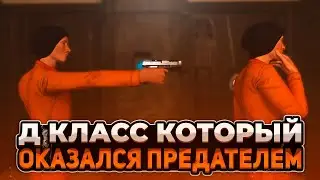 Д КЛАСС И УЧЁНЫЕ - ДРУЗЬЯ | РП МОМЕНТЫ В SCP SL