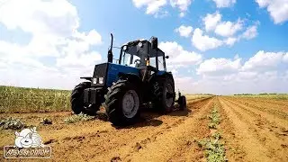 Глубокая культивация 01 07 18
