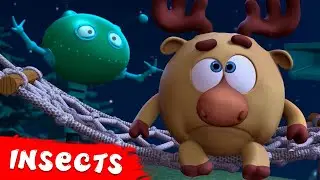 PinCode | Exciting episodes about Insects | Cartoons for Kids