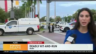 Miami-Dade police investigate deadly hit and run crash on SW 8 Street