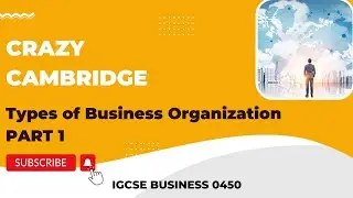 Cambridge IGCSE Business Studies 0450 - Types of Business organizations PART 1