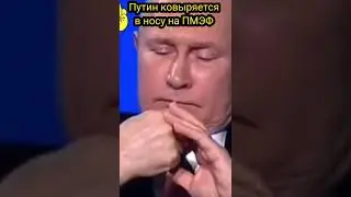 Путин ковыряется в носу на ПМЭФ