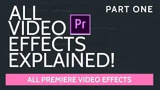 Every Premiere Pro Effect Explained - SDR Conform,Time Code and Cineon Converter