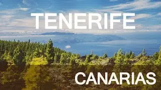 TENERIFE 2019 - CANARY ISLANDS