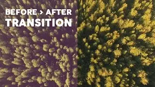 How to create a Before / After Transition Effect (Premiere Pro)