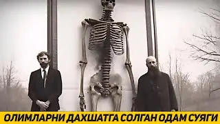 ОЛИМЛАРНИ КУРКИТГАН ГИГАНТ ОДАМ СУЯКЛАРИ