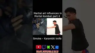 Martial Art influence in Mortal Kombat part 4  