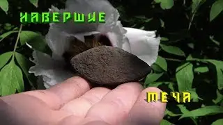 Навершие меча