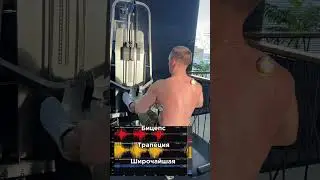 Качаем широчайшие мышцы. 