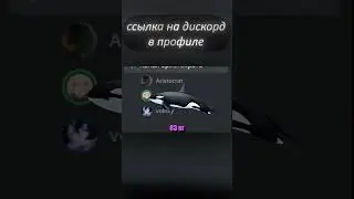 гайд на рыбалку🐬