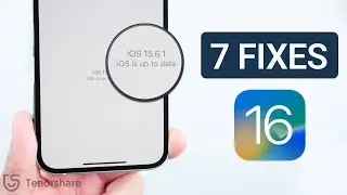 iOS 17 Update Not Showing Up on iPhone/iOS is Up to Date? Here is the Fix