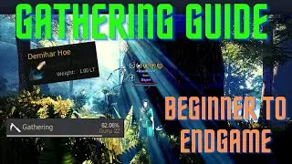 BDO - 2021 Gathering Guide: Beginner to Endgame