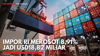 Impor RI Merosot 8,91% jadi USD18,82 Miliar | IDX CHANNEL