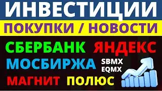 Какие купить акции? Сбербанк Магнит Яндекс Мосбиржа Полюс Сегежа Полиметал Дивидендные акции