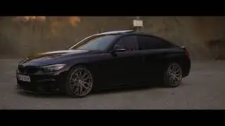 Purple F36 440i | Deep in the woods