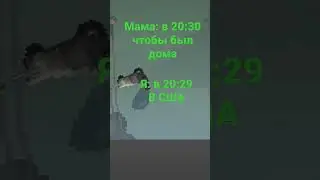 бегу с гулянки домой дома ждут любимые родители буду получать звездюлей мем1