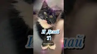 Доброе утро! Пятница!