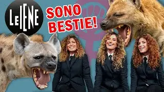 Le IENE sono BESTIE!