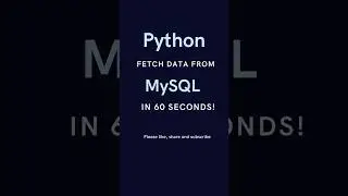 Python: 60 Seconds! Fetch Data from MySQL 