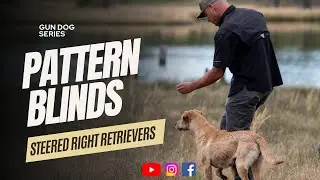 Gun Dog Training: Pattern blinds
