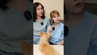 Куда пропал кошелёк? 🤔😱😱 ВТОРАЯ СЕРИЯ 