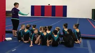 USA GIMNASTICS MEMBER CLUBS