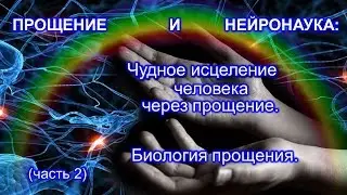 13. Прощение и Нейронаука. Чудное исцеление человека через прощение (часть 2)