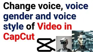 How to change voice, voice gender, accent, and voice style of a video in CapCut - Free Video Editing