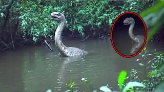 30 Animals Believed To Be Extinct Caught Alive On Camera