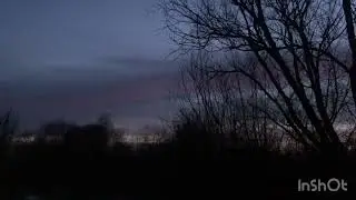 Разведка вальдшнепа