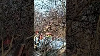 Мартовская солнечная погода 25 года