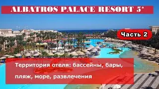 ALBATROS PALACE RESORT - территория отеля, бассейны, бары, пляж, море, развлечения. Часть 2