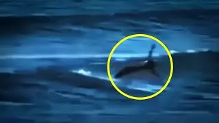 5 НАСТОЯЩИХ РУСАЛОК, Снятых НА КАМЕРУ!!!