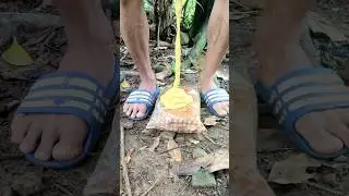 ANOMALI ROTI BOHAY 