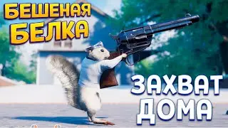 БЕШЕНАЯ БЕЛКА ЗАХВАТЫВАЕТ ДОМ ( Squirrel with a Gun )