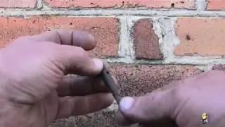 Сигнальный наконечник