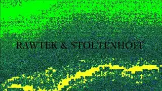 Rawtek & Stoltenhoff - Gecko