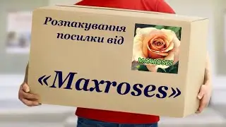 Розпакування посилки від «Maхroses» розплідника троянд, Вінницька обл. Сорти Кейт-Лінн, Ред Піано.