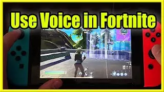 How to use FORTNITE VOICE CHAT on Nintendo SWITCH (Easy Method)