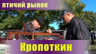 Птичий рынок. Кропоткин. Часть 6. [25.09.2022]