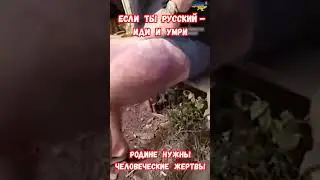 Обращение к Путину десантник 217 ПДП 98 ВДД Пытки 