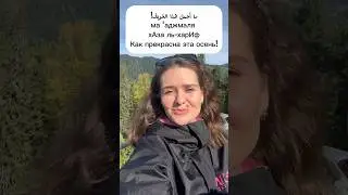 Как восхищаются арабы #арабскийязык #арабскиеслова #арабы #арабский #арабка