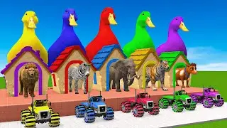 5 Giant Duck Cartoon,Cow,Tiger,Dog,Gorilla,Zebra,Elephant,Lion Transfiguration funny animal 2023