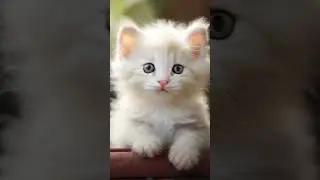 #нейросеть