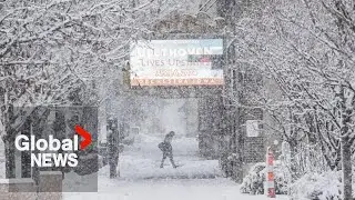 Polar vortex plunges Prairies into deep freeze