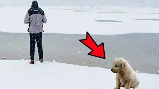 The owner left the puppy to die in the cold. But then a miracle happened!