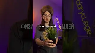 ВИДЫ НАЛОГОВ / 